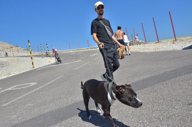 Un promeneur avec son chien noir et blanc, et des cyclistes sur la route.