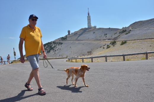 Des chiens et leurs compagnons au Ventoux.