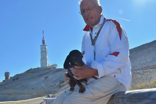 Des chiens et leurs compagnons au Ventoux.