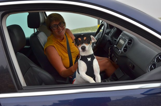 Une femme et son chien blanc et noir dans une voiture.